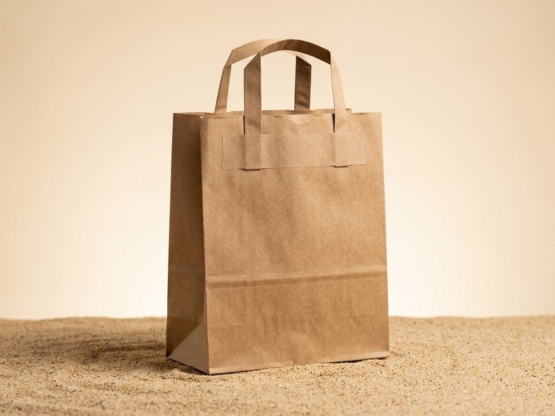 Takeaway / Commercial Paper Bags packaging format